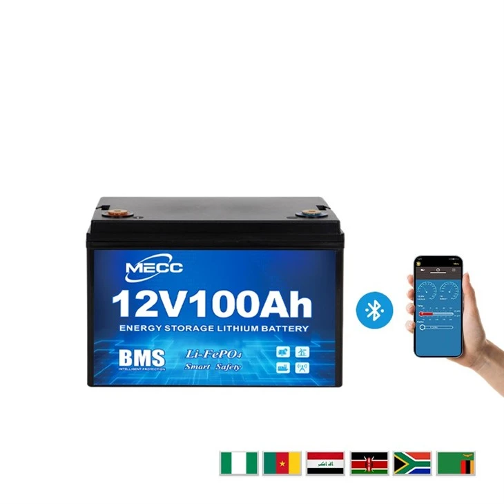 BMS 12v 20ah Lifepo4 Battery Pack